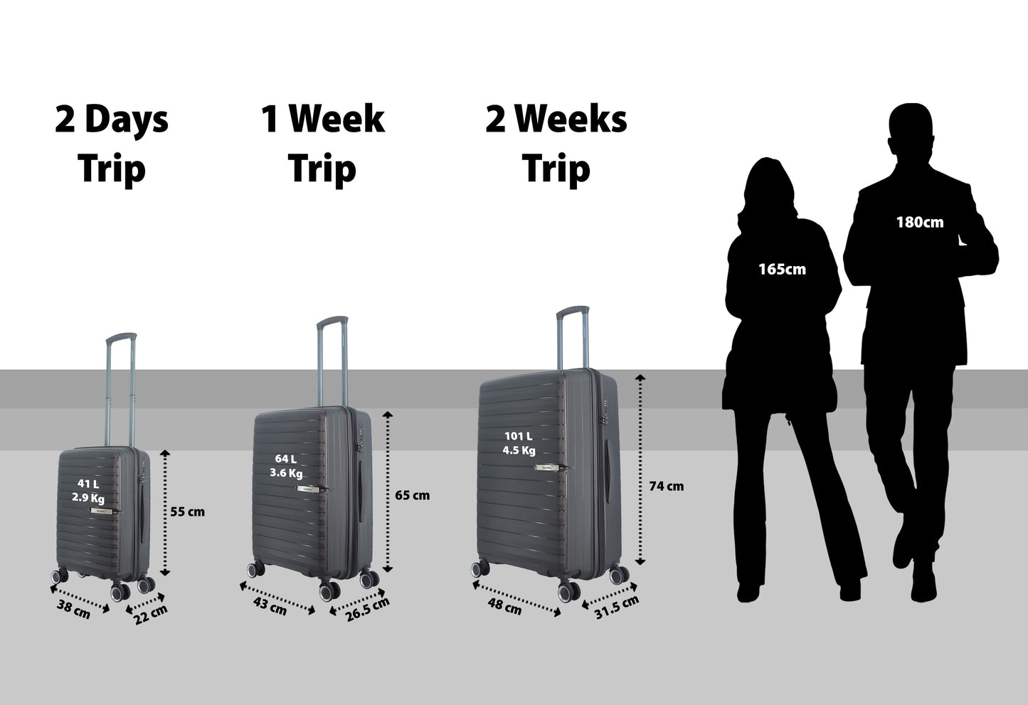 Valise de voyage Saxoline en polypropylène bleu (S/M/L) - Anthracite