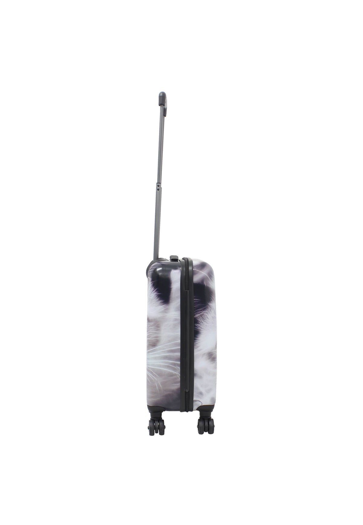 Saxoline harde Handbagage | Trolley met print- 54cm (S) - White Cat – productafbeelding 5