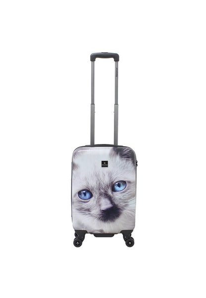 Saxoline Handbagage Harde Koffer / Trolley / Reiskoffer - 54cm (Small) - White Cat Print