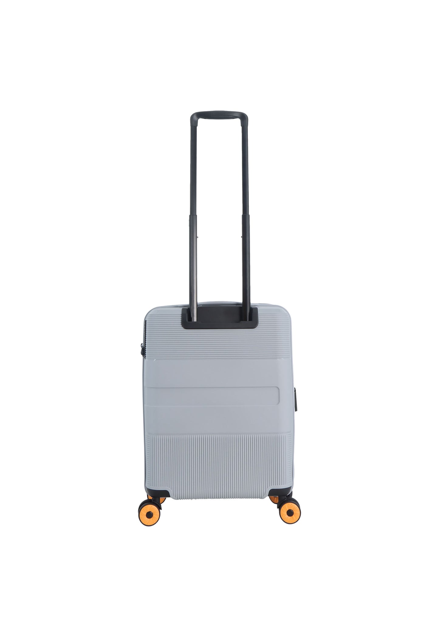 Discovery Trails harde reiskoffer in zilver, achteraanzicht
